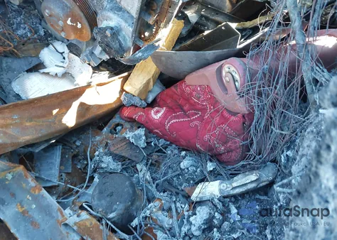 2024 Kia Telluride Ex из США, поврежденный, VIN 5XYP34GC3RG436457